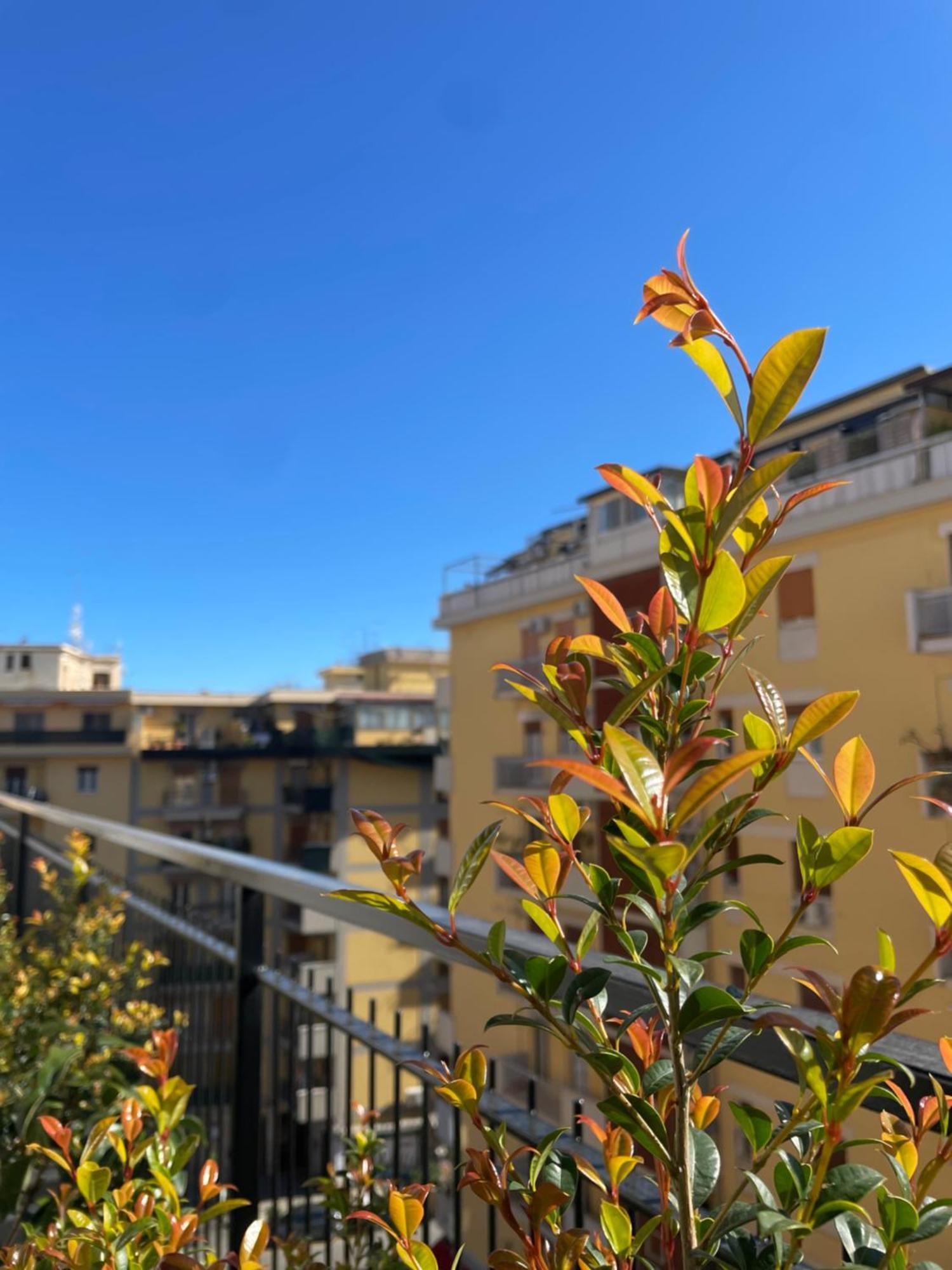 Terrazza L Emiro Casa Vacanze Lägenhet Palermo Exteriör bild